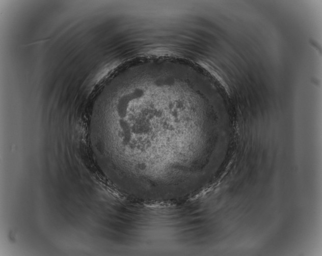 X0000091850823200709121309