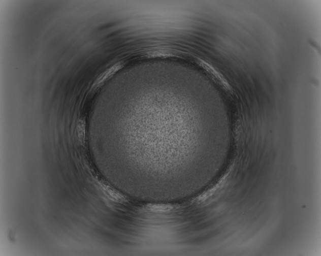 X0000091850825200709121309