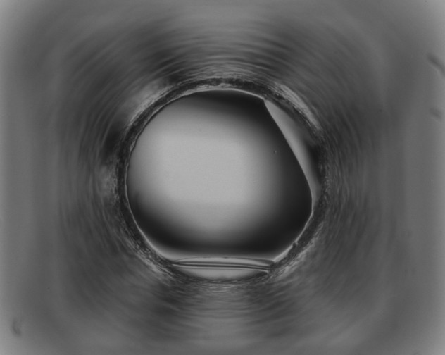 X0000091850826200709121309