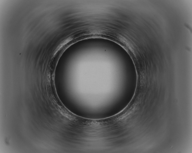 X0000091850827200709121309