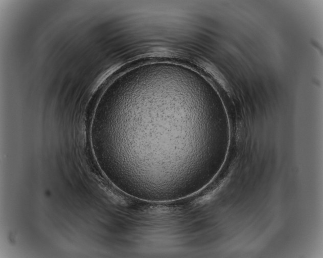 X0000091850829200709121309