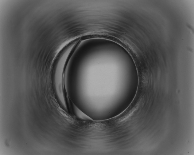 X0000091850830200709121309