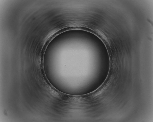 X0000091850831200709121309