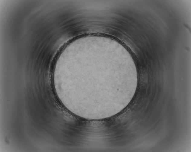 X0000091850832200709121309