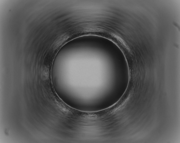 X0000091850833200709121309