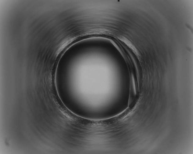 X0000091850834200709121309
