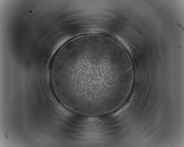 X0000091850835200709121309