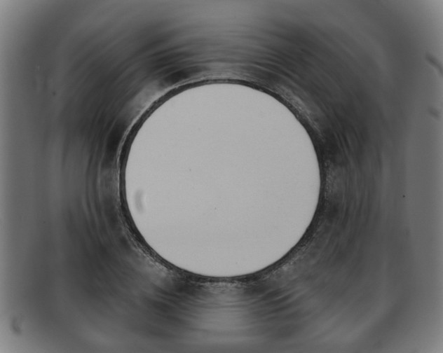 X0000091850836200709121309