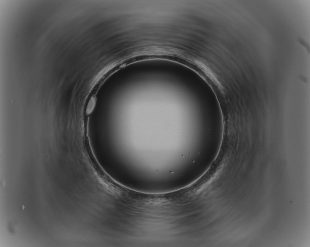 X0000091850837200709121309