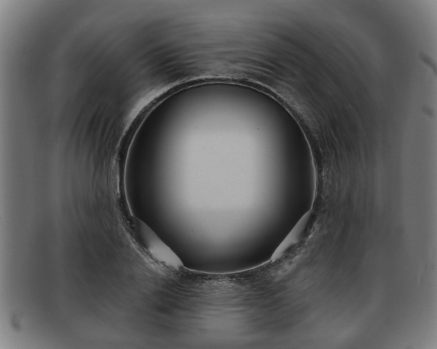X0000091850838200709121309
