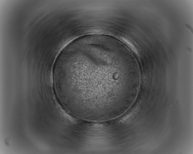 X0000091850839200709121309