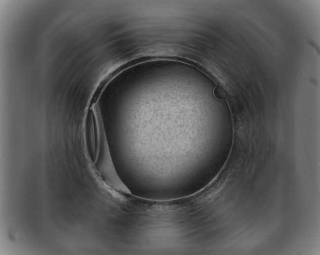 X0000091850840200709121309