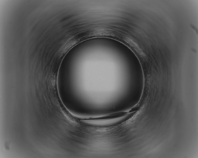 X0000091850841200709121309