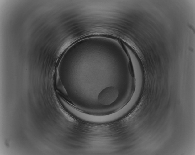 X0000091850842200709121309