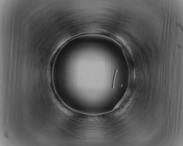 X0000091850843200709121309