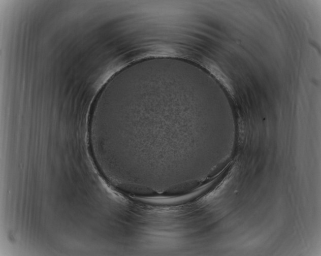 X0000091850845200709121309