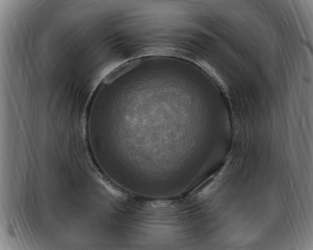 X0000091850846200709121309