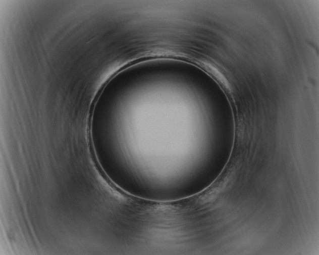 X0000091850847200709121309