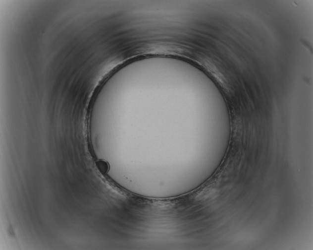 X0000091850848200709121309