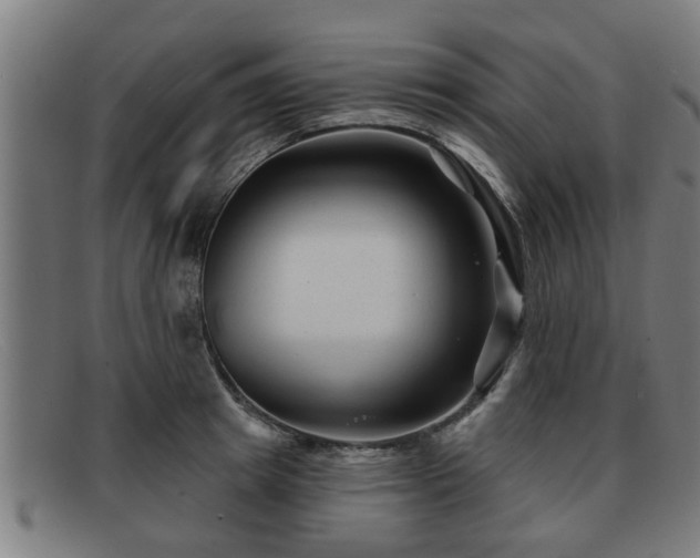 X0000091850849200709121309