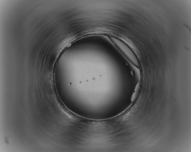 X0000091850850200709121309