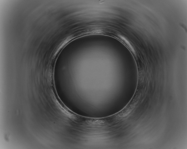 X0000091850851200709121309