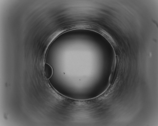 X0000091850852200709121309