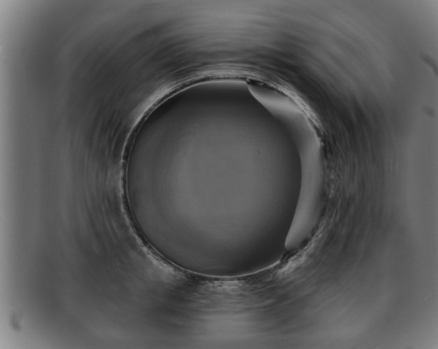X0000091850853200709121309