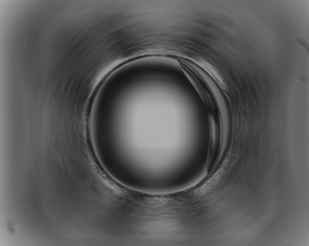 X0000091850854200709121309