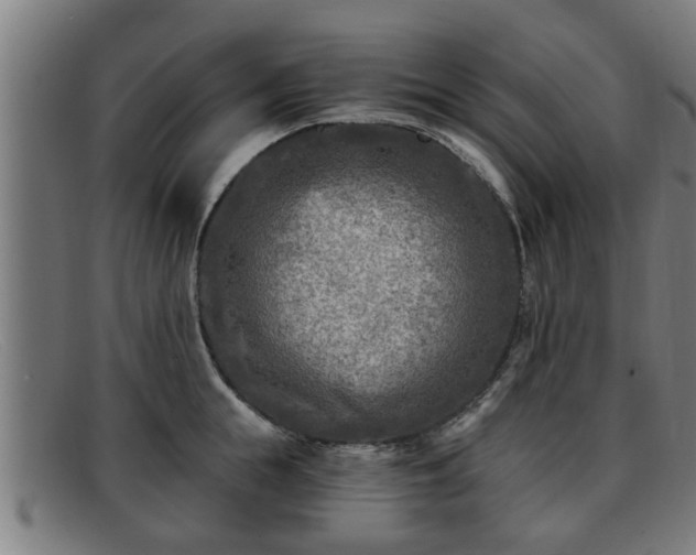 X0000091850855200709121309