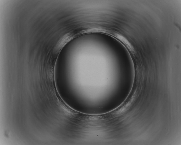 X0000091850857200709121309
