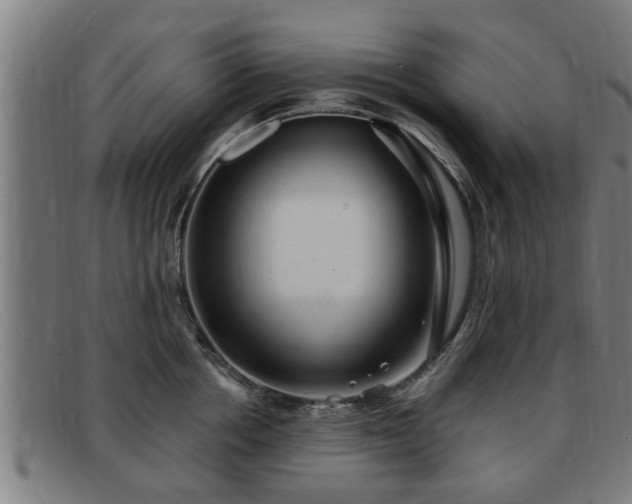 X0000091850858200709121309