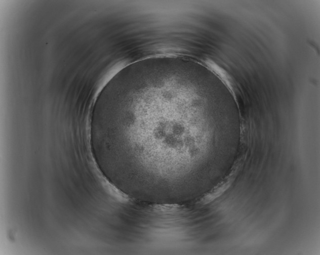 X0000091850859200709121309