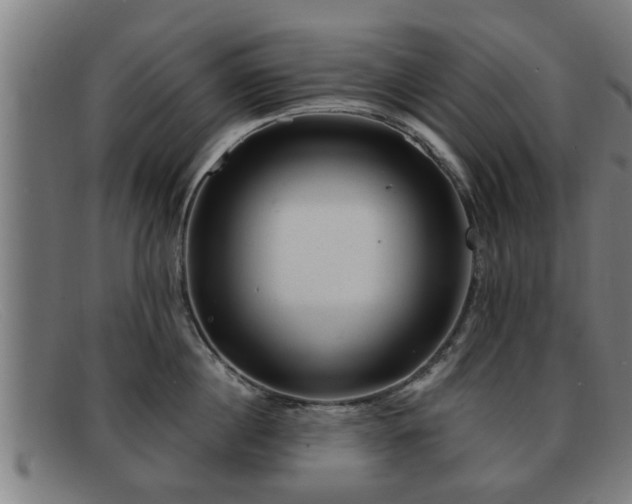 X0000091850860200709121309