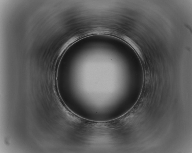 X0000091850861200709121309