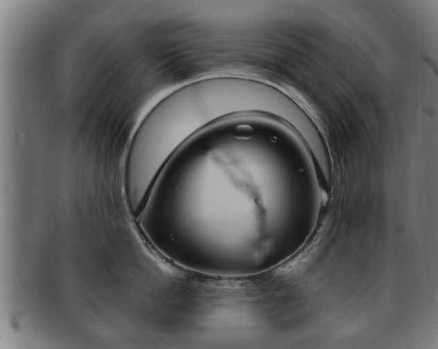 X0000091850862200709121309