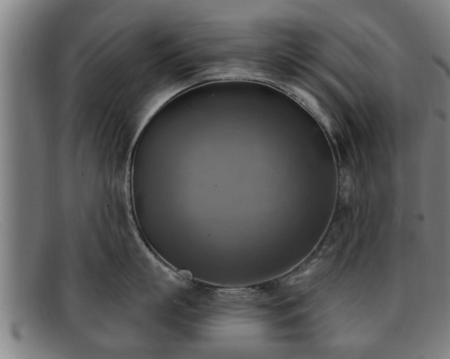 X0000091850863200709121309