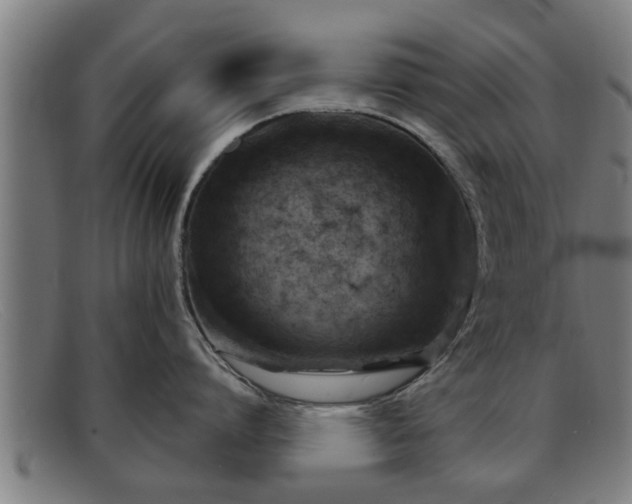 X0000091850864200709121309