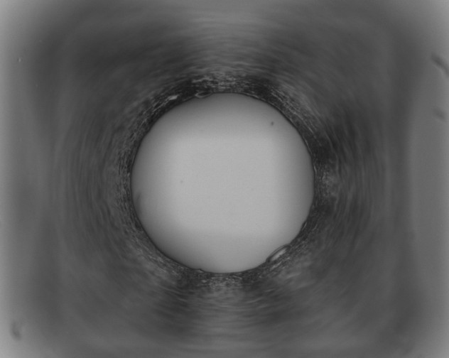 X0000091850865200709121308