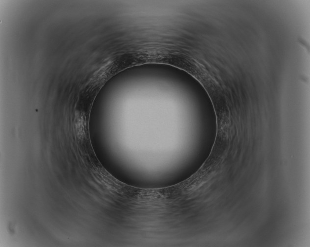 X0000091850866200709121308