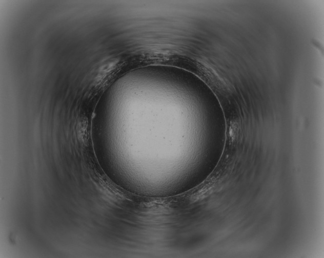 X0000091850867200709121308