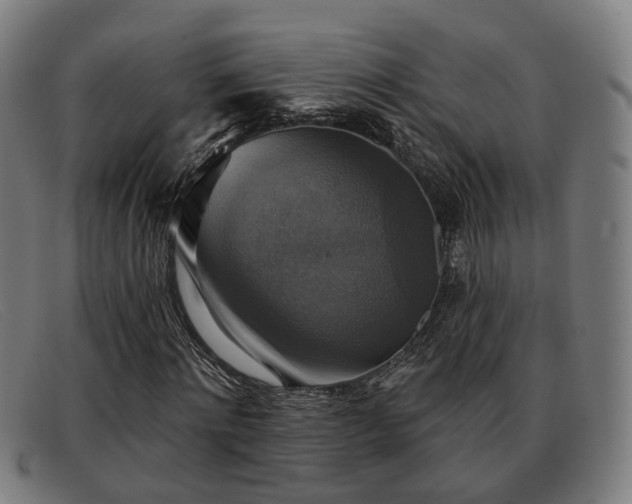 X0000091850868200709121308