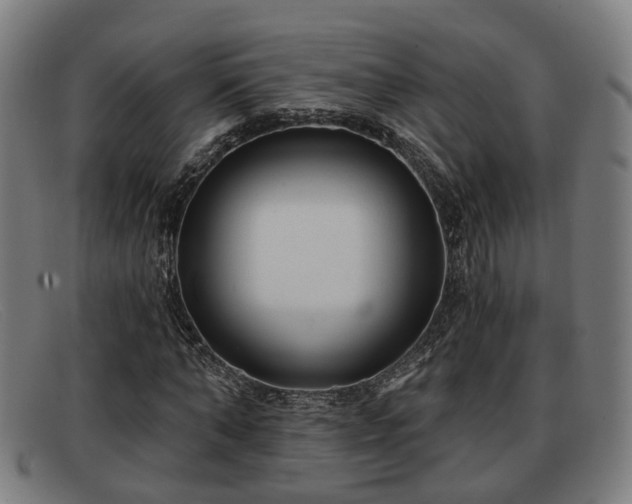 X0000091850870200709121308