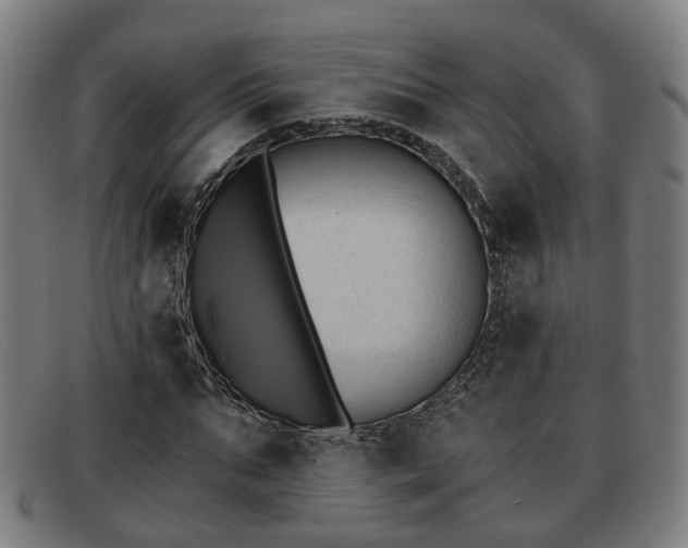 X0000091850871200709121308