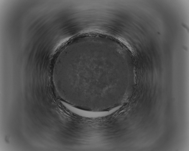 X0000091850872200709121308