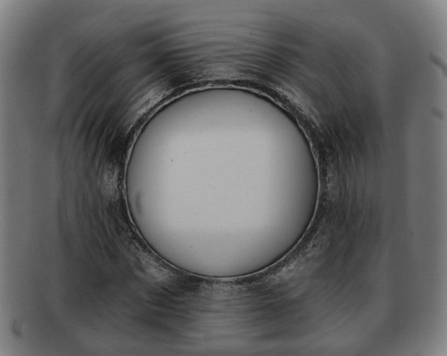 X0000091850873200709121308