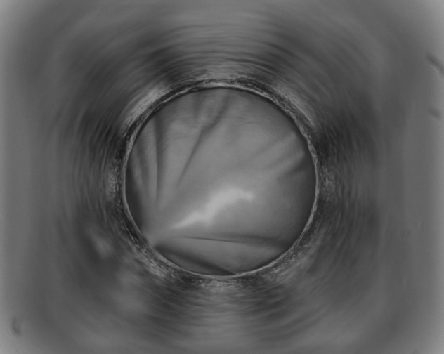 X0000091850874200709121308