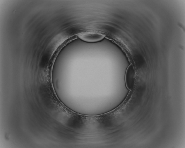 X0000091850875200709121308