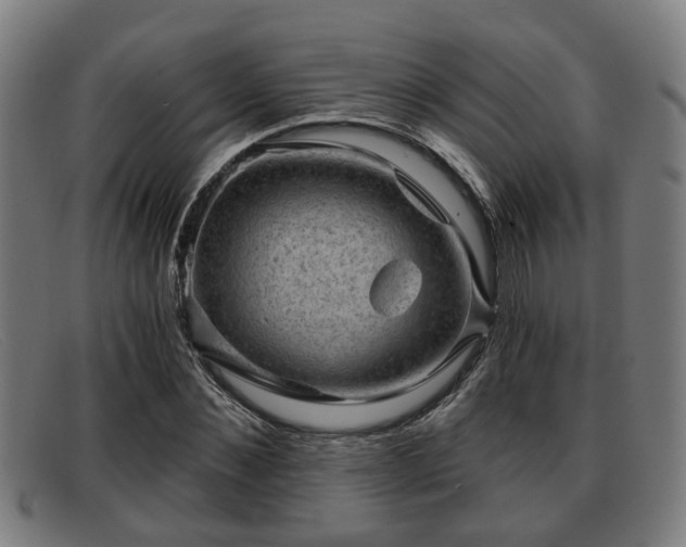 X0000091850876200709121308