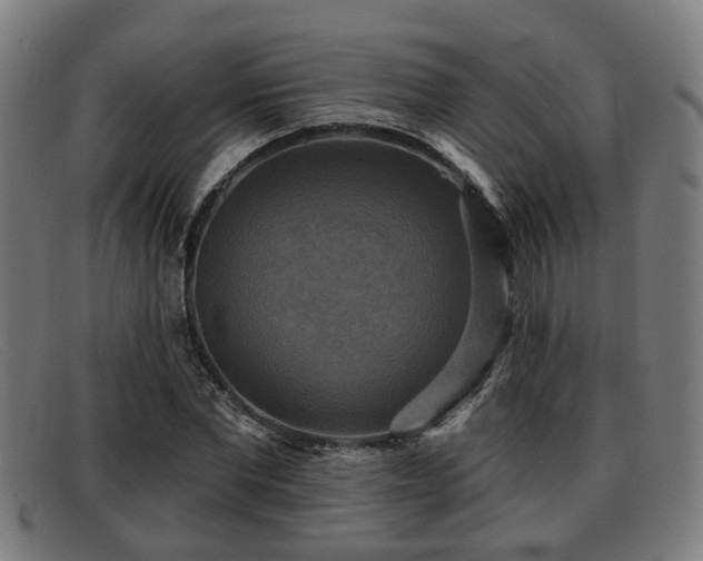 X0000091850877200709121308